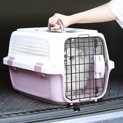 Large cat carrier box - box, puppy