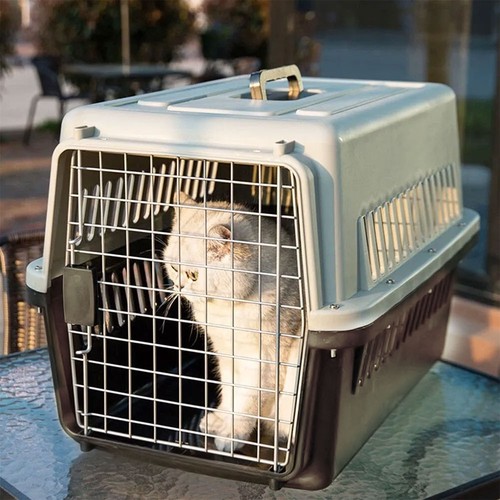 New large pet - new, carrier