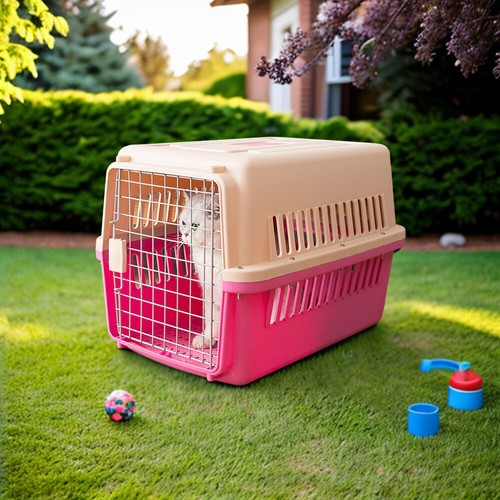 Pet carrier cat - pet,