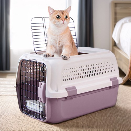 Large portable plastic - portable, pet