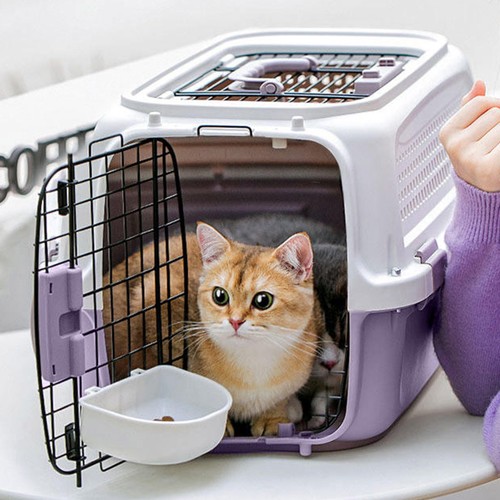 Portable travel pet carrier - pet,