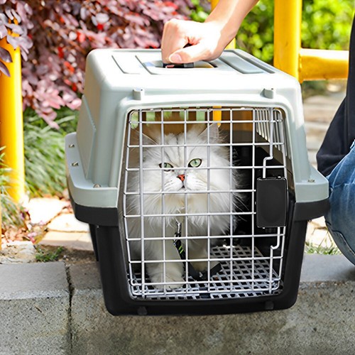 Dog cat travel carrier box - xl,