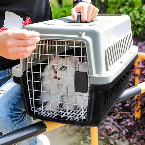 Portable dog cat - dog/,