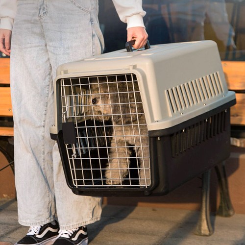 Grey portable pet - grey, carrier
