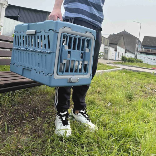 Large cat carrier - carrier, puppy
