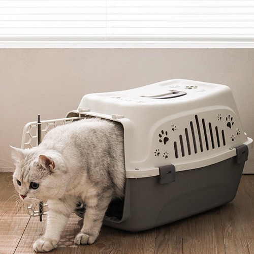 Portable pet dog puppy cat - dog,