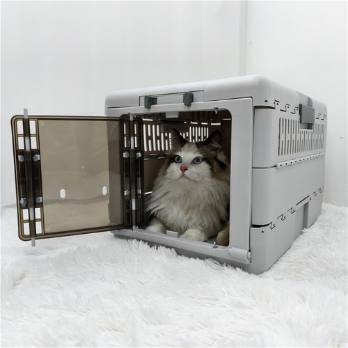 Cat carrier pet transport - transport, box