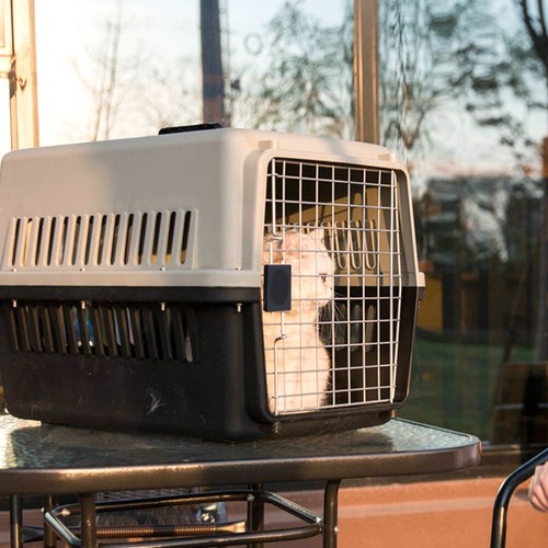 Cat travel cage portable air - travel,
