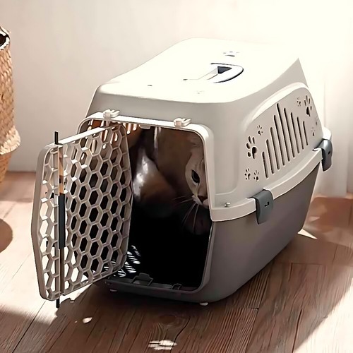 Cat carrier dog puppy - cat,