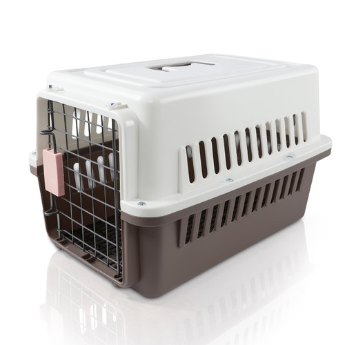 Dog cat puppy pet - dog,