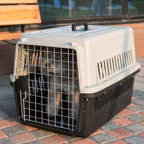 Extra large pet carrier cat - extra,